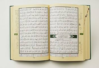 洋書 The Qur'an and its Interpretative Tradit 洋書 The Qur'an and its Interpretative Tradit The Qur´an and